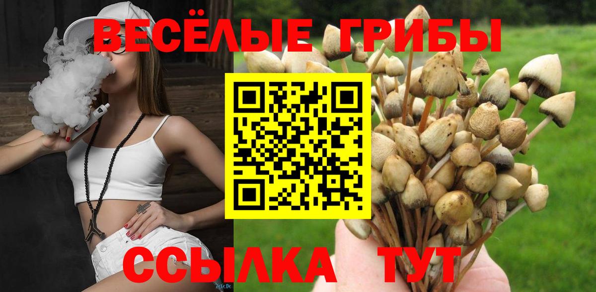 Галлюциногенные грибы мухоморы Новозыбков